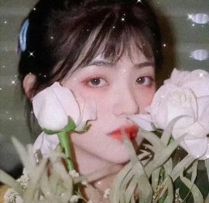 女神探夏洛克