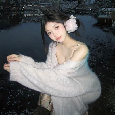 荷兰人的假期